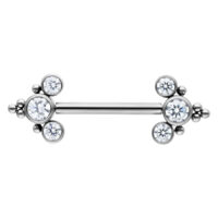 Barbell en titane argenté avec cristaux Barbell argenté en titane avec cristaux clairs à chaque extrémité sur fond blanc