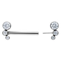 Barbell en titane argenté avec cristaux pour tétons Barbell en titane argenté avec cristaux clairs, sur fond blanc