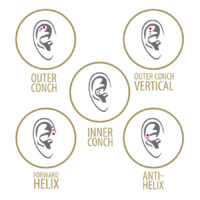 Mini labret en titane pour piercing triple hélice Cinq diagrammes d'oreille avec positions de piercing dans des cadres dorés