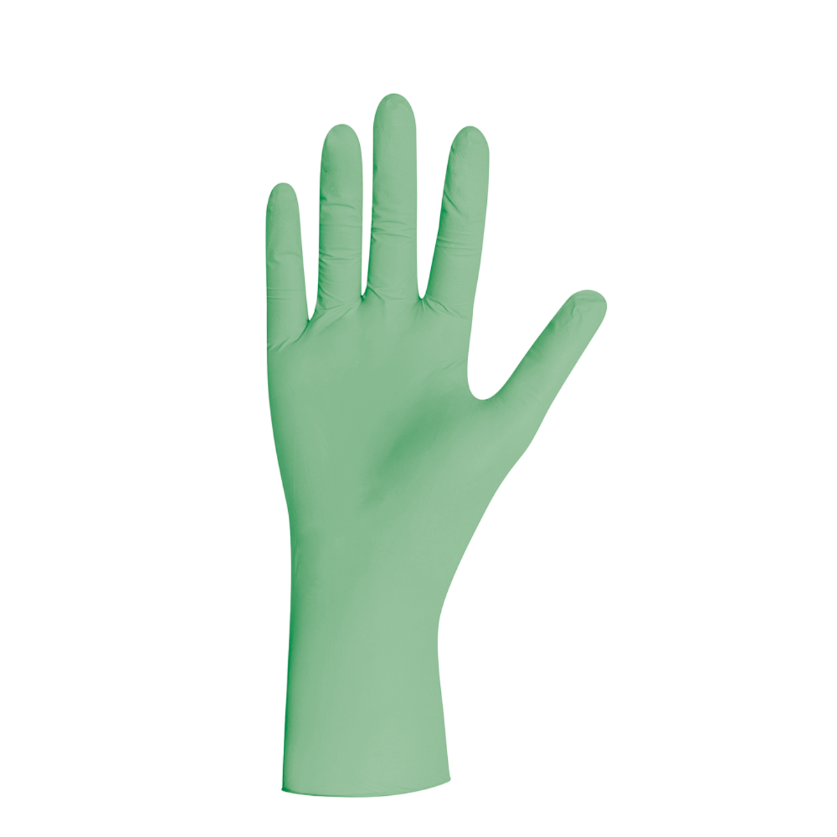 Gants en nitrile vert menthe taille L Gant jetable vert clair en nitrile taille L sur fond blanc