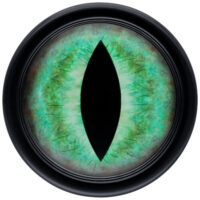 Wildcat Verena Venus Plug au design œil de chat Plug rond avec motif œil de chat vert sur fond noir