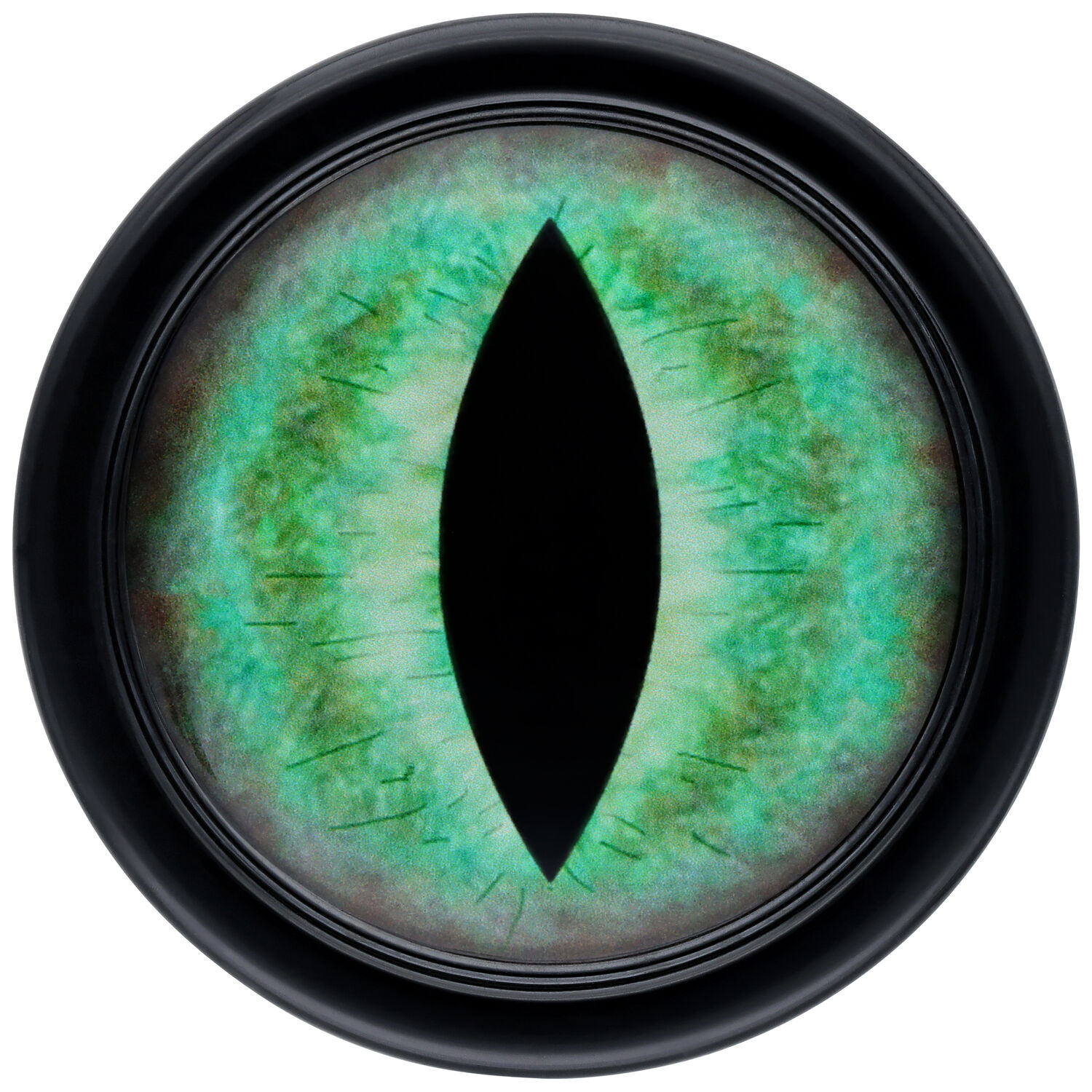 Wildcat Verena Venus Plug au design œil de chat Plug rond avec motif œil de chat vert sur fond noir