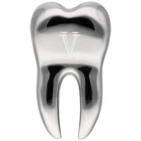 Verena Venus poids d'oreille en acier chirurgical Poids d'oreille en forme de dent en acier chirurgical 316L avec gravure V