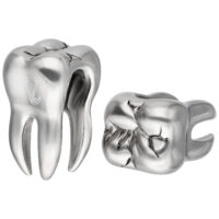 Verena Venus poids d'oreille en acier chirurgical Deux poids d'oreille en forme de dents en acier chirurgical argenté sur fond blanc