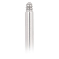 Labret en titane en or blanc Labret en titane argenté avec filetage externe sur fond blanc