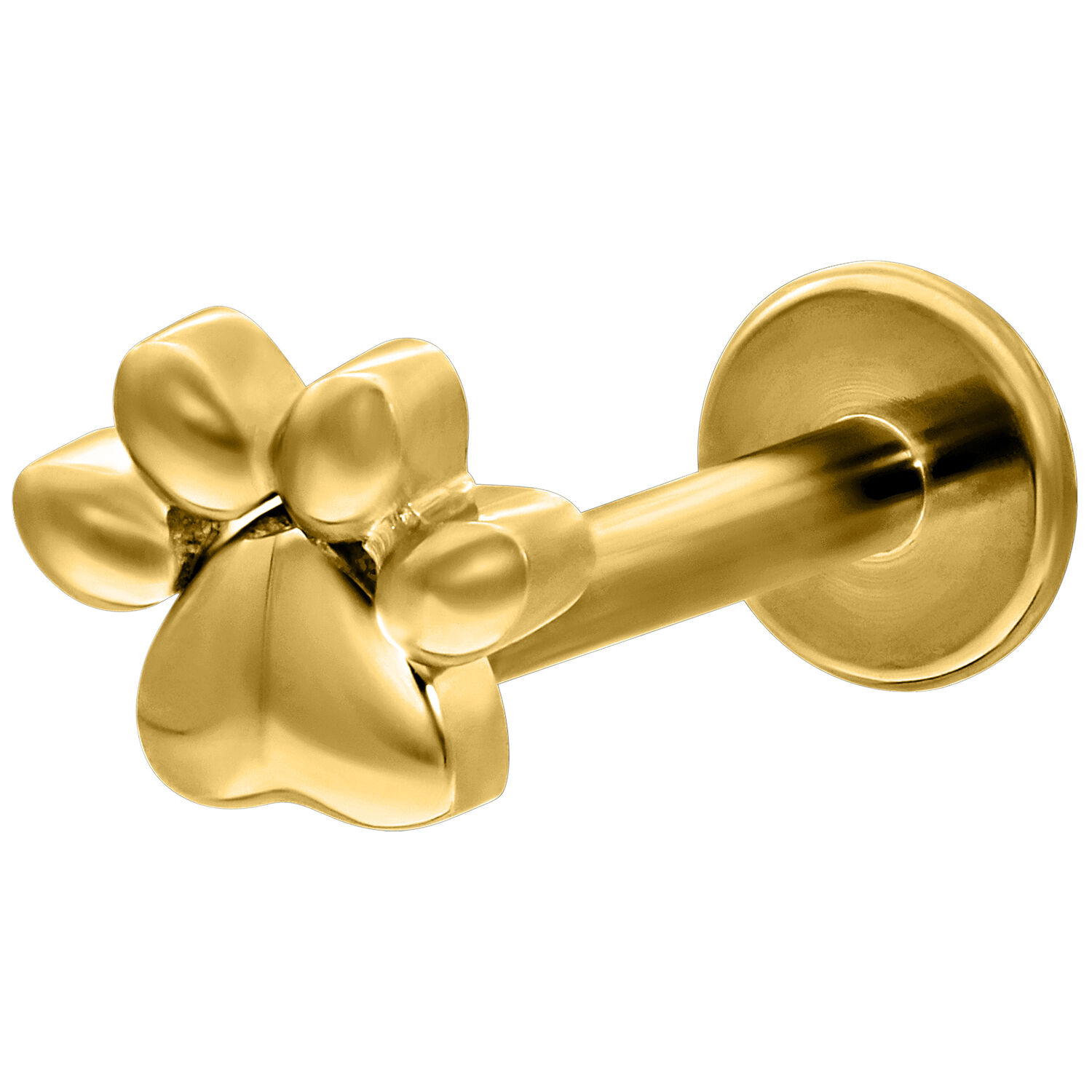 Labret doré avec motif de patte sur fond blanc, longueur 6mm