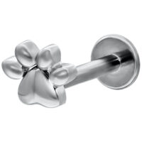 Labret en or blanc avec motif patte et fermeture push-fit sur fond blanc