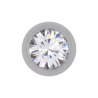 Embout Titan Highline avec cristal clair Embout de piercing en titane argenté avec cristal clair et facetté sur fond blanc