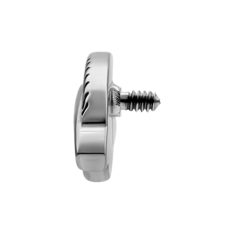 Embout feuille argenté pour piercing à filetage interne Embout feuille argenté avec filetage externe sur fond blanc