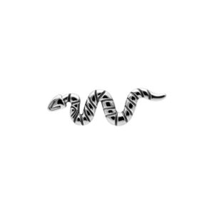 Embout Serpentina en argent pour filetage interne, en forme de serpent, sur fond blanc