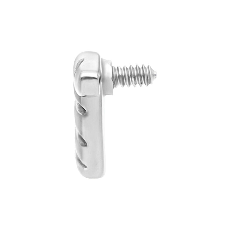 Serpentina Piercing Embout Titane Argent Embout de piercing Serpentina argenté avec filetage externe sur fond blanc