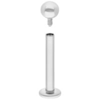 Labret en titane argenté avec filetage interne Labret en titane argenté avec filetage interne sur fond blanc