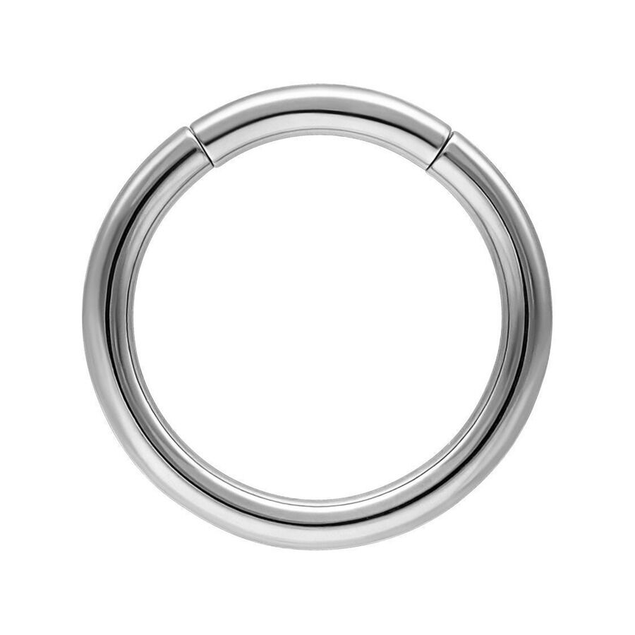 Anneau segment argenté en titane Anneau segment argenté en titane sur fond blanc