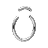 Segmentring en titane argenté de Wildcat Segmentring en titane argenté avec segment amovible sur fond blanc.
