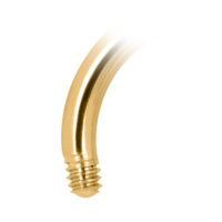 Barbell circulaire en titane doré Barbell circulaire doré en titane avec filetage externe sur fond blanc