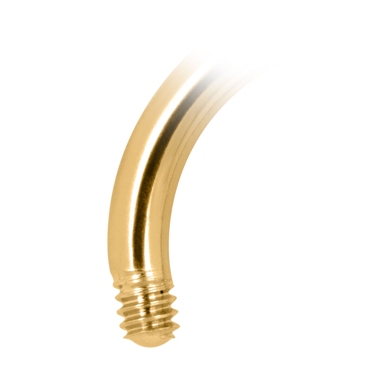 Barbell circulaire en titane doré Barbell circulaire doré en titane avec filetage externe sur fond blanc