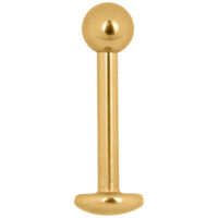 Stud Labret en Titane Doré 1,2 mm Stud Labret doré en titane avec filetage externe sur fond blanc