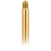 Labret en titane doré avec filetage externe Labret doré en titane avec filetage externe sur fond blanc
