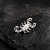 Embout Scorpion Argenté avec Cristal Embout Scorpion argenté avec cristaux clairs sur ardoise foncée